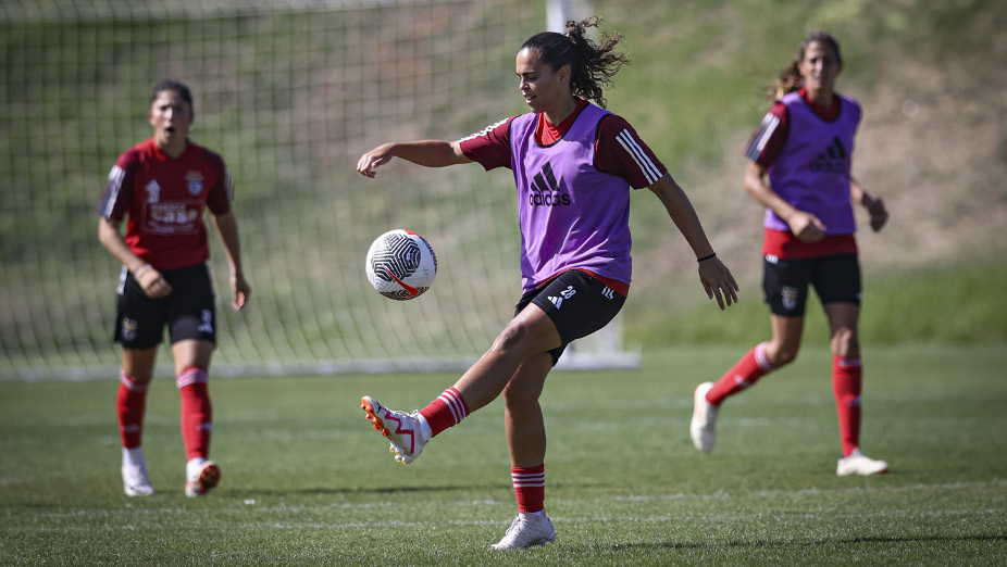 Andrea Falcón