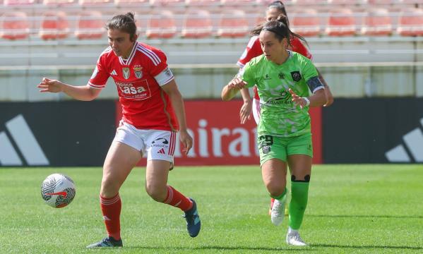 Pauleta lesionou-se no jogo frente ao L&#228;nk Vilaverdense
