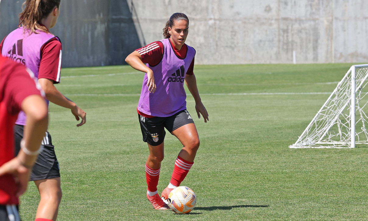 Andrea Falcón