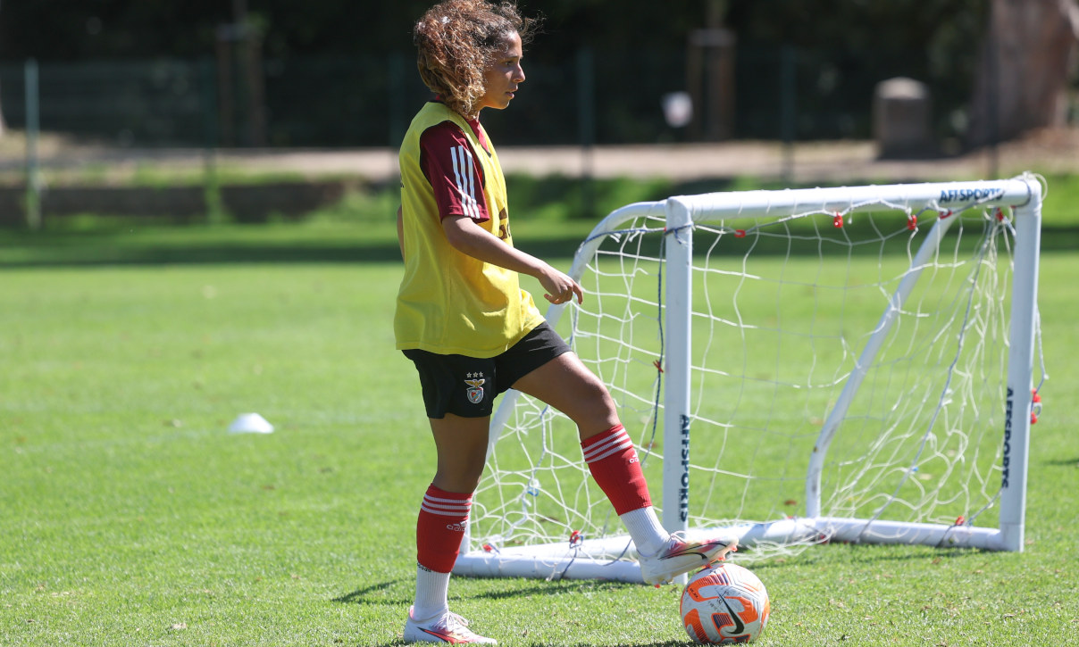 Matilde Ribeiro