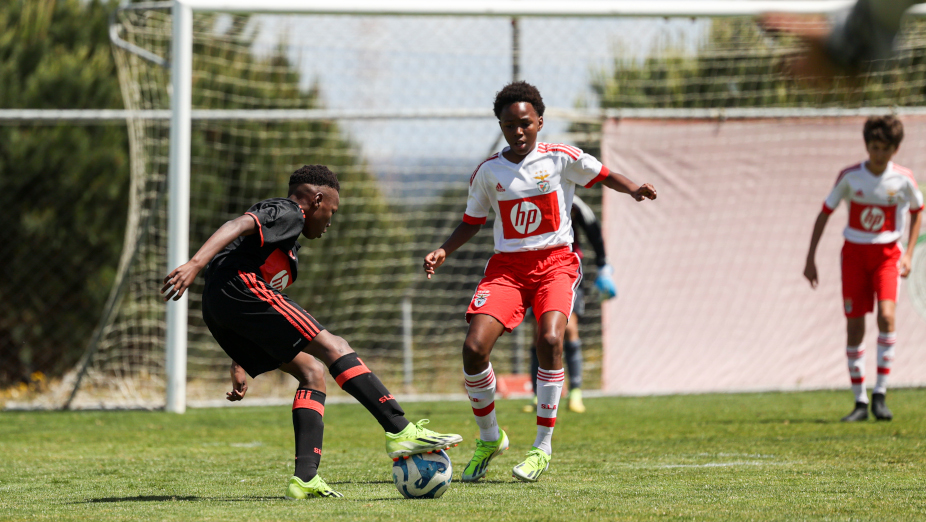 Benfica HP League