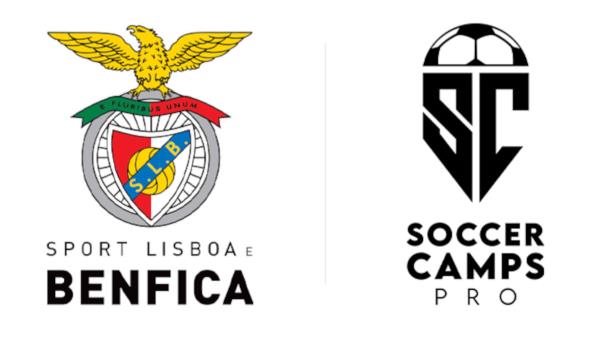 International partnership
