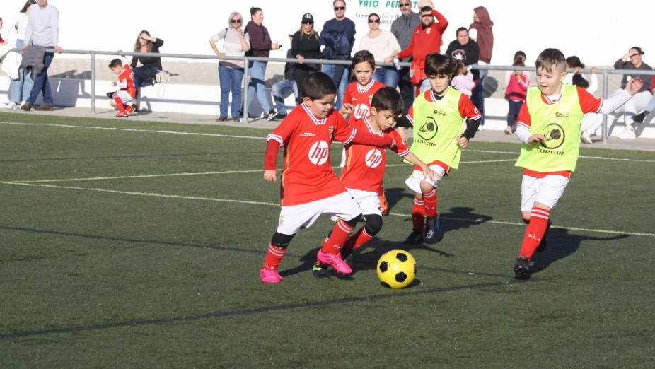 Liga Benfica – Zona Sul 
