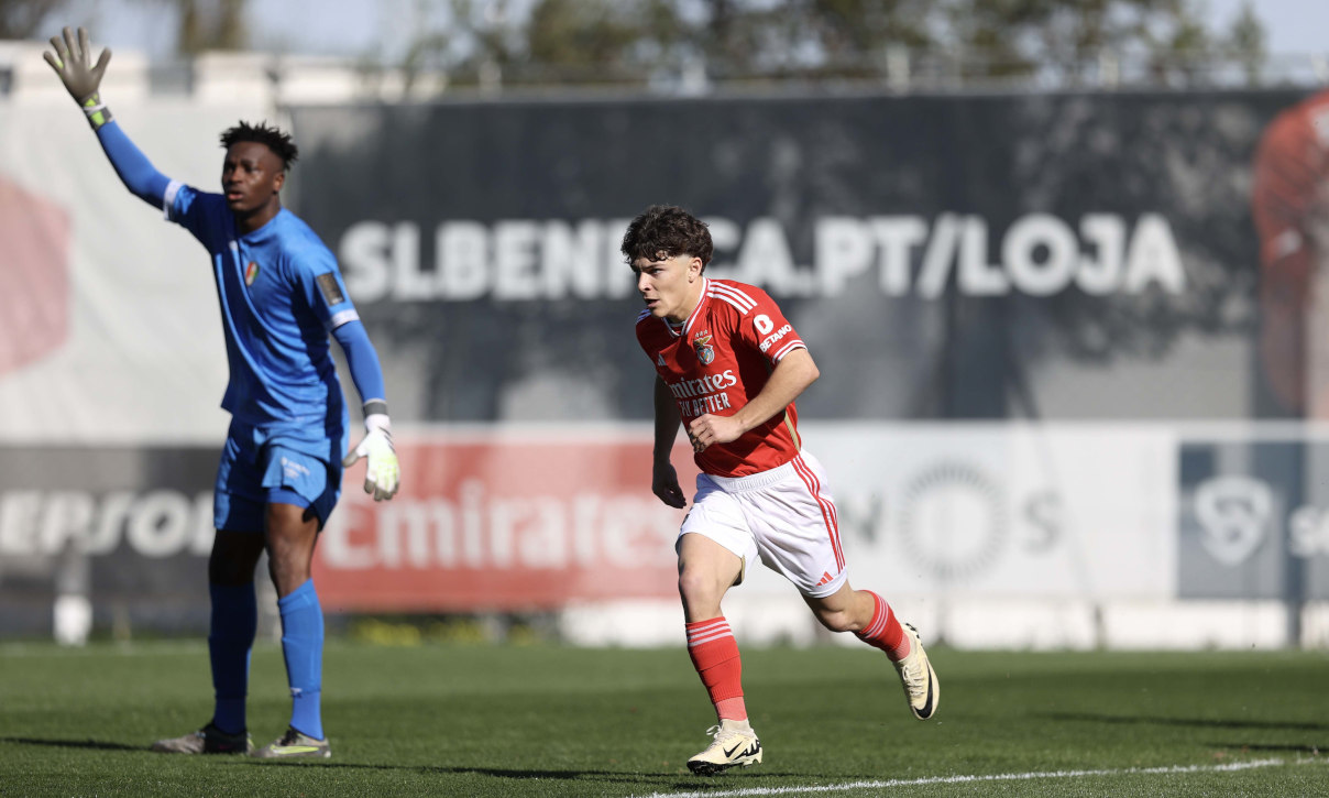 Benfica-Estrela da Amadora