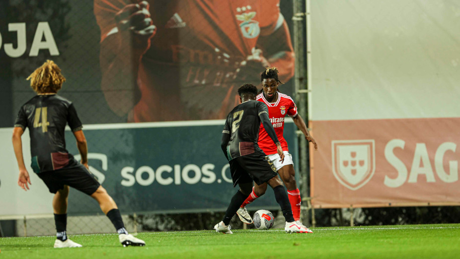 Benfica-Estrela da Amadora