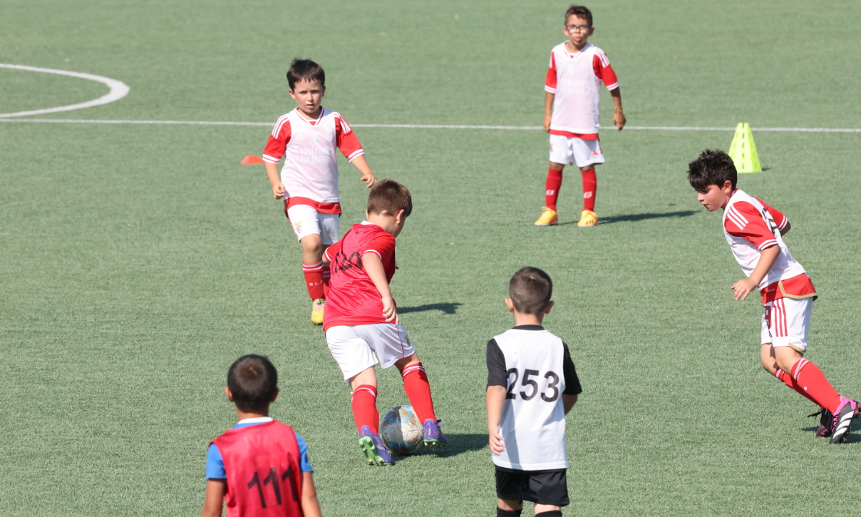 Treino de captação