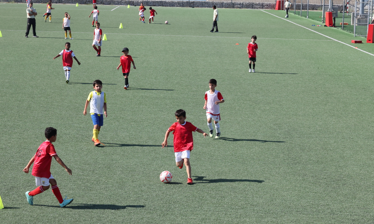 Treino de captação