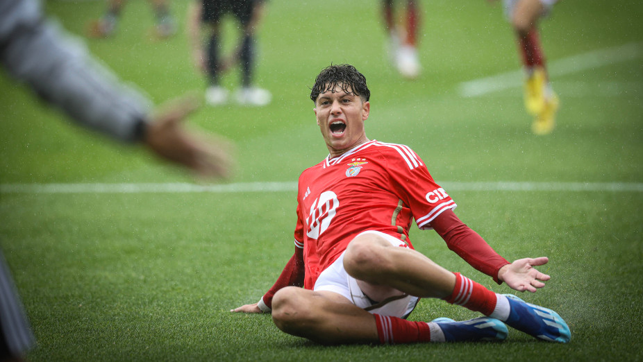 Rafael Luís
