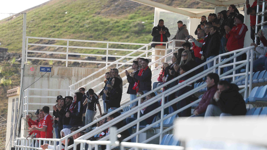 Adeptos do Benfica