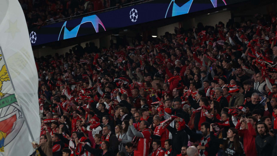 Adeptos do Benfica
