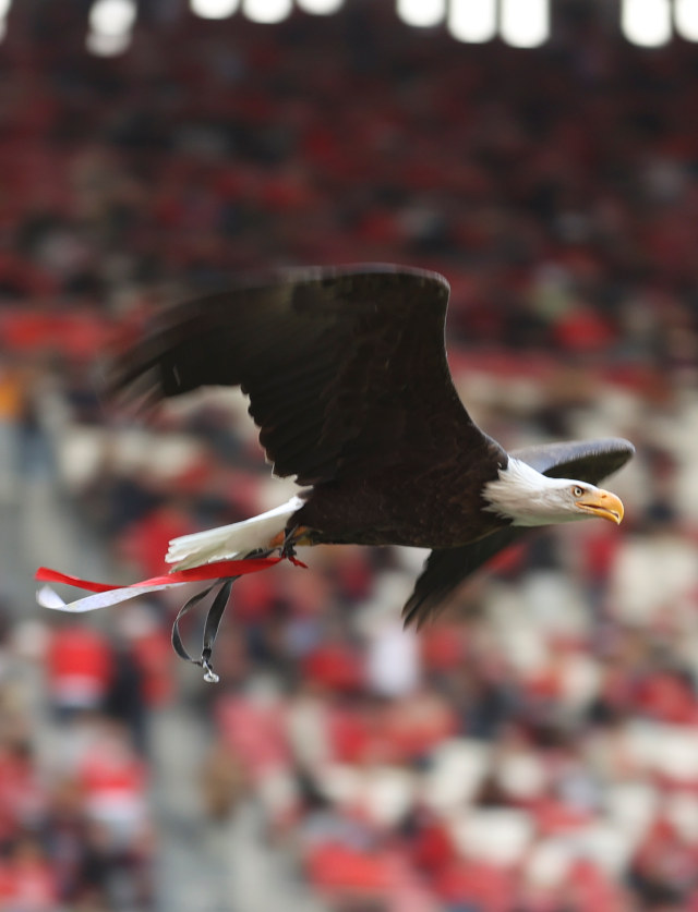 SL Benfica