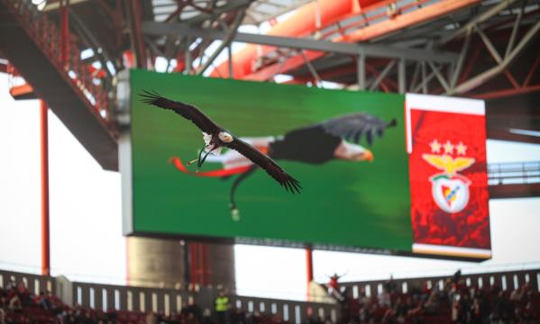 SL Benfica
