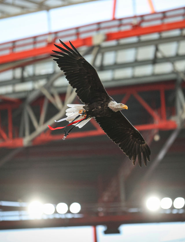 SL Benfica
