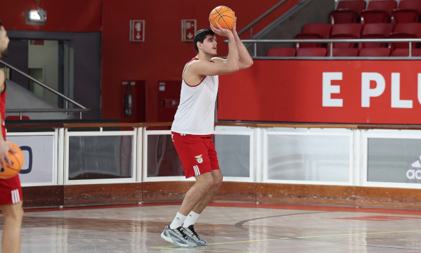 Basquetebol