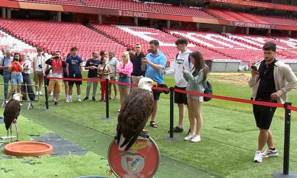 Estádio da Luz e balneário chamam cada vez mais visitantes