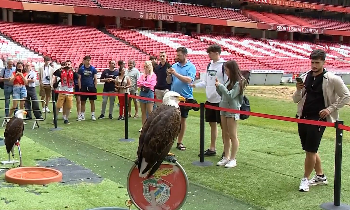 Visitas ao Estádio da Luz