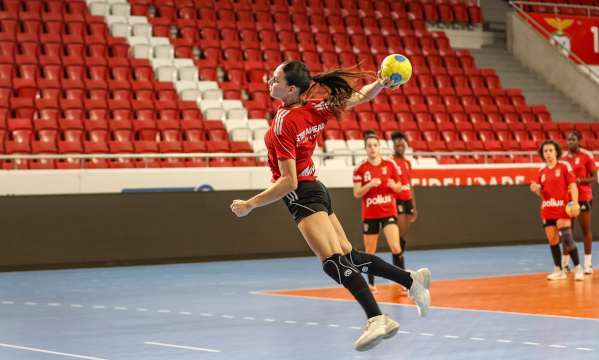 Andebol feminino