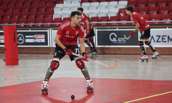 H&#243;quei em patins