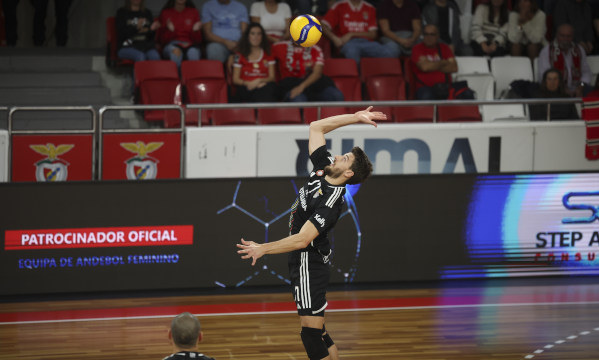 Voleibol