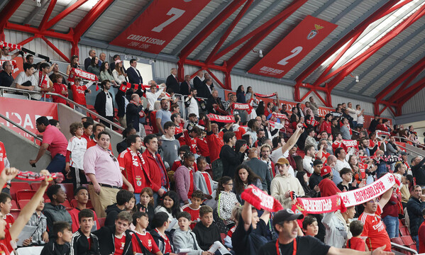 Adeptos do Benfica