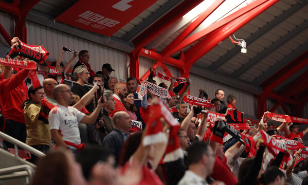 Adeptos do Benfica