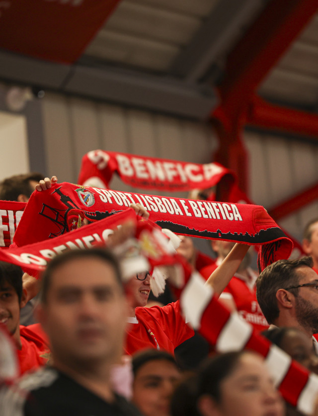 Adeptos do Benfica