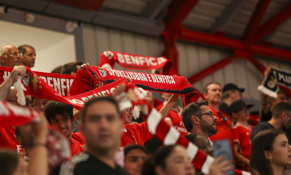 Adeptos do Benfica