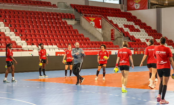 Andebol feminino