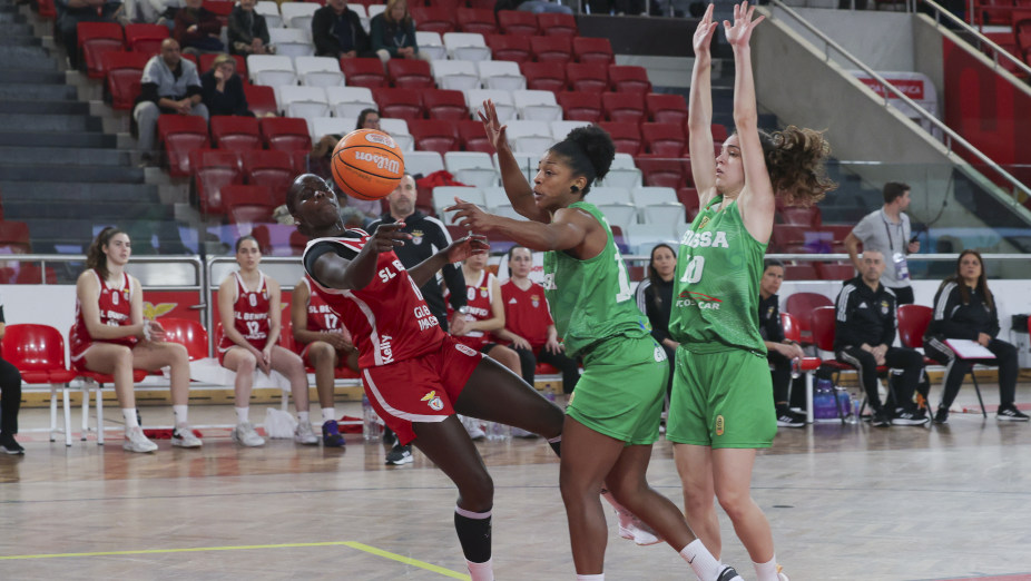Basquetebol feminino do Benfica