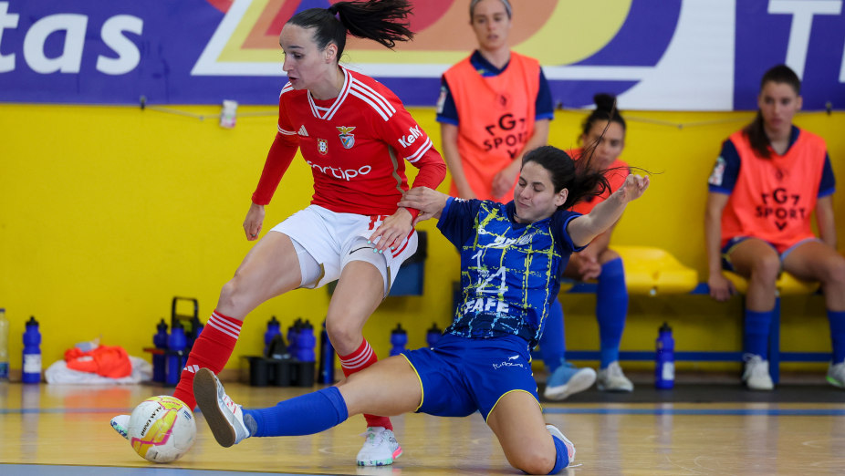 Nun'Álvares-Benfica