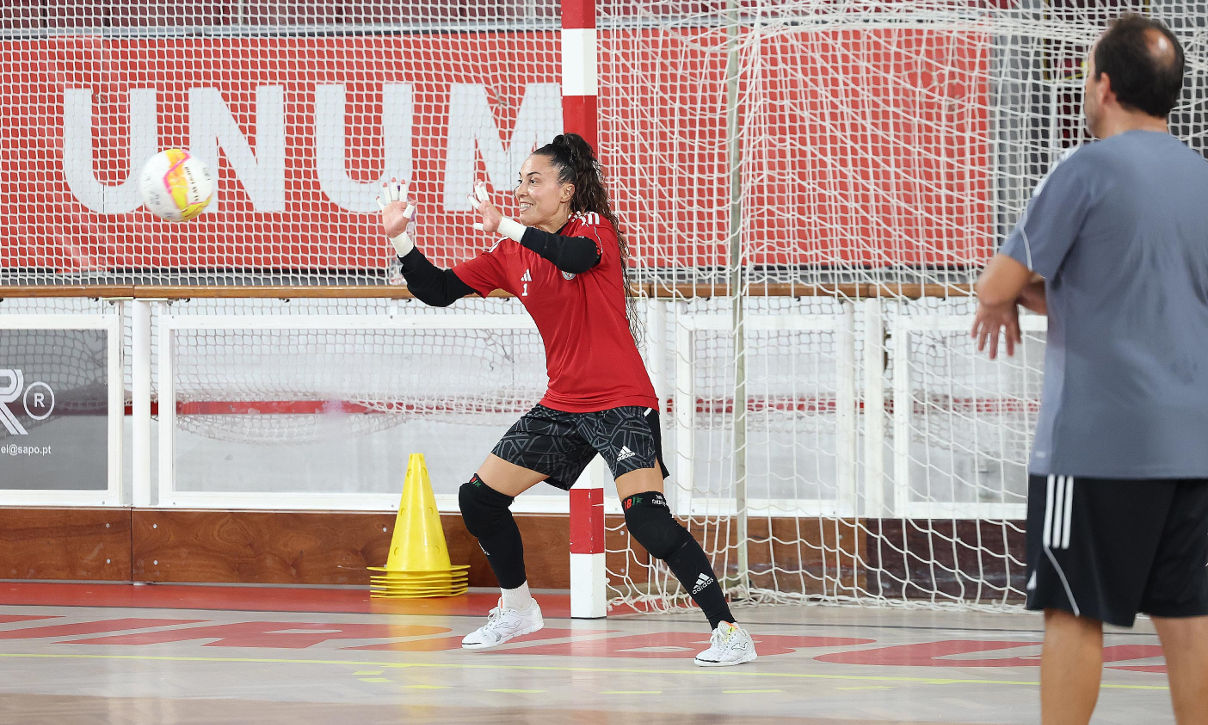 Ana Catarina