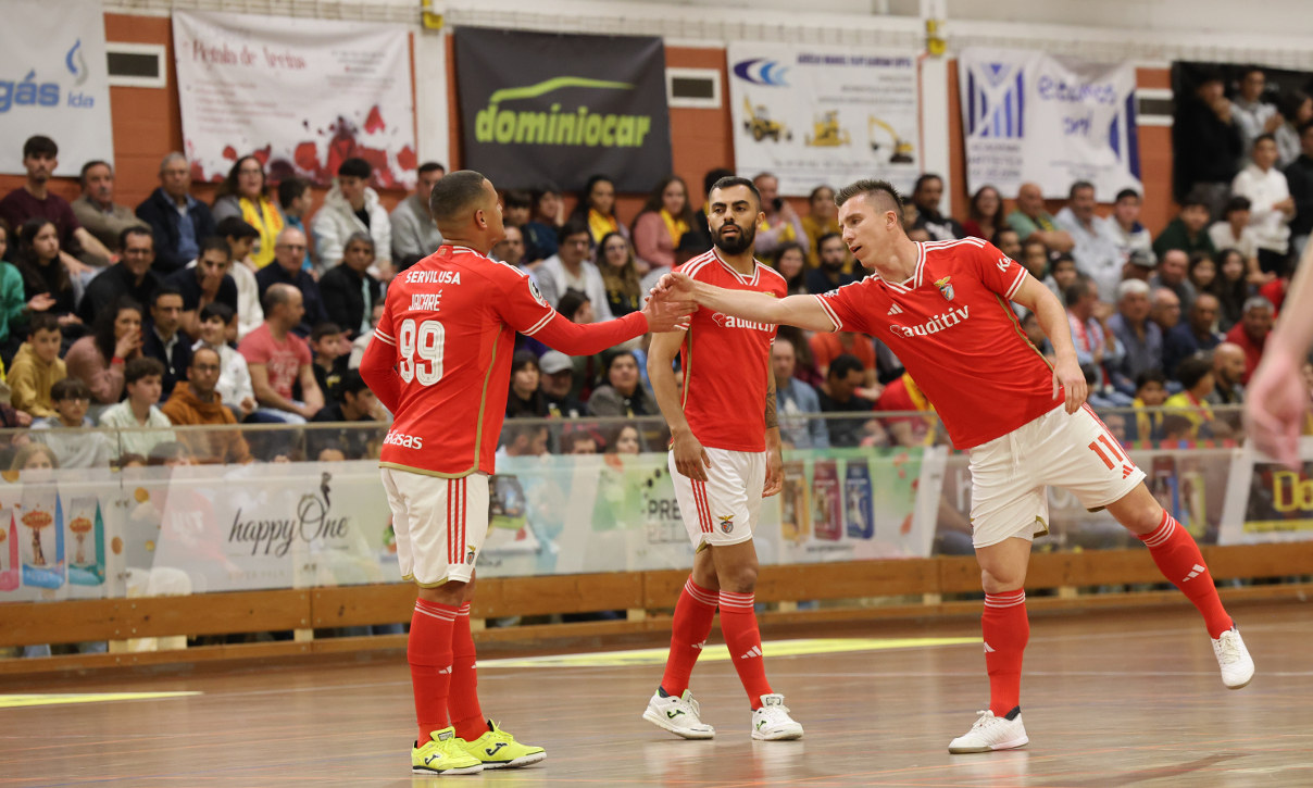 Ferreira do Zêzere Benfica jogo Liga Placard SL Benfica