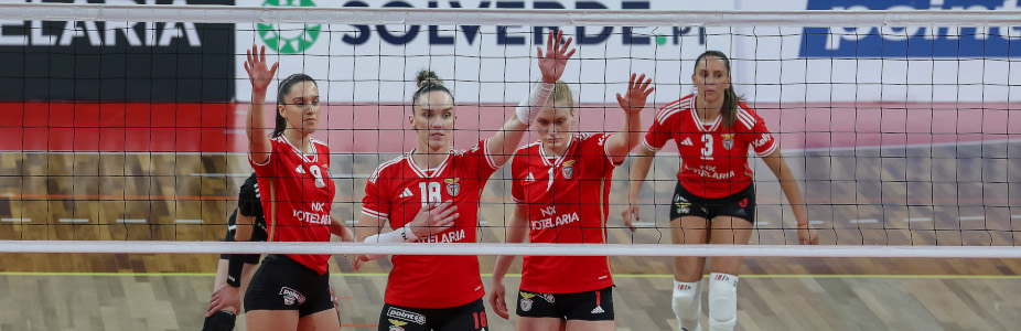 Voleibol