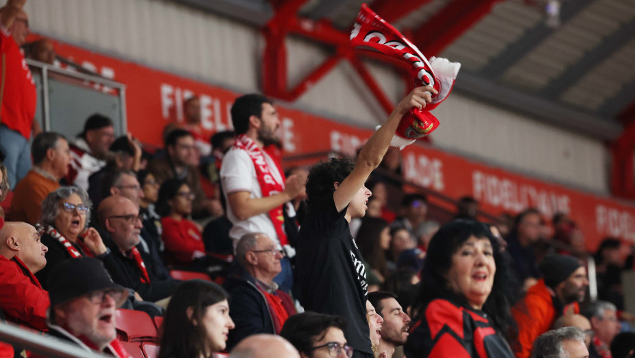 Adeptos do Benfica
