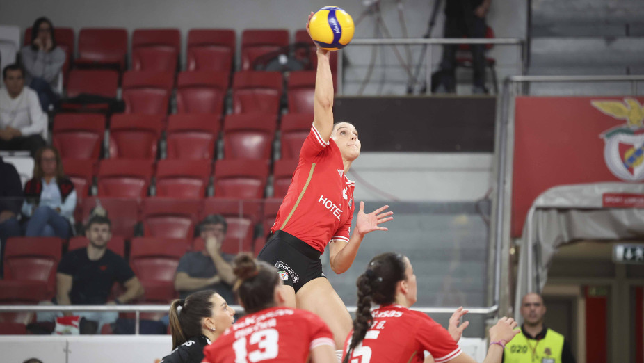 Alice Clemente