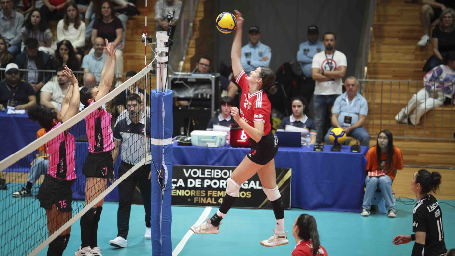 Benfica-PV Colégio Efanor