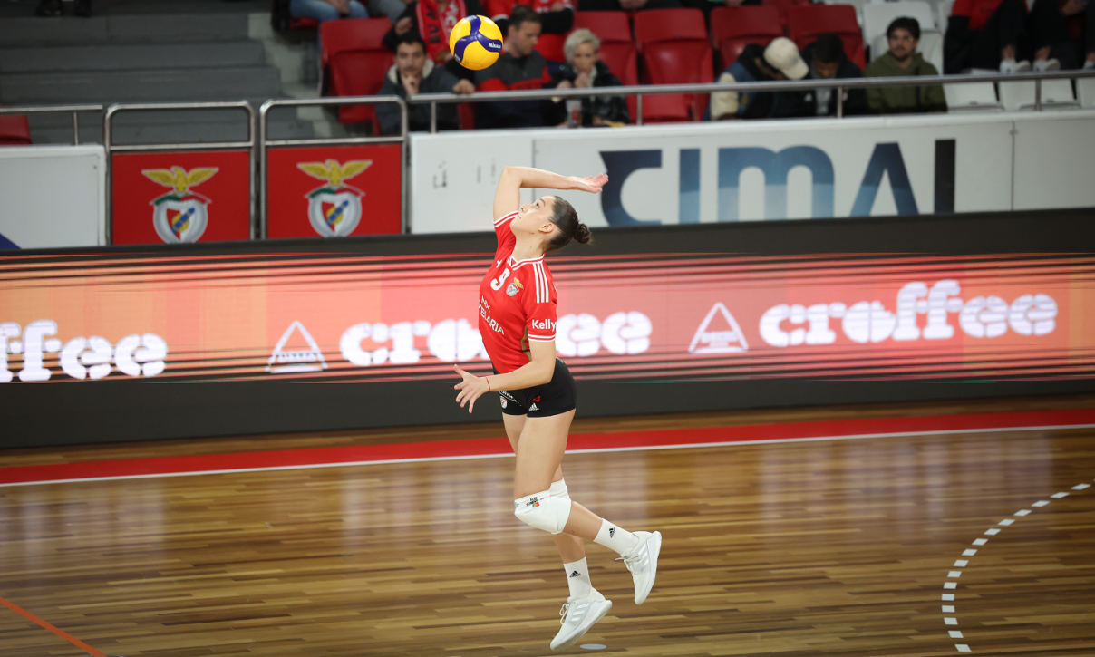 Alice Clemente