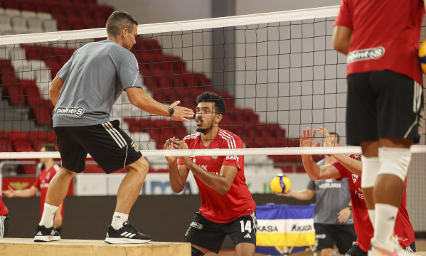 Voleibol