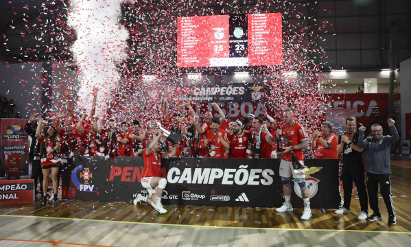 Voleibol