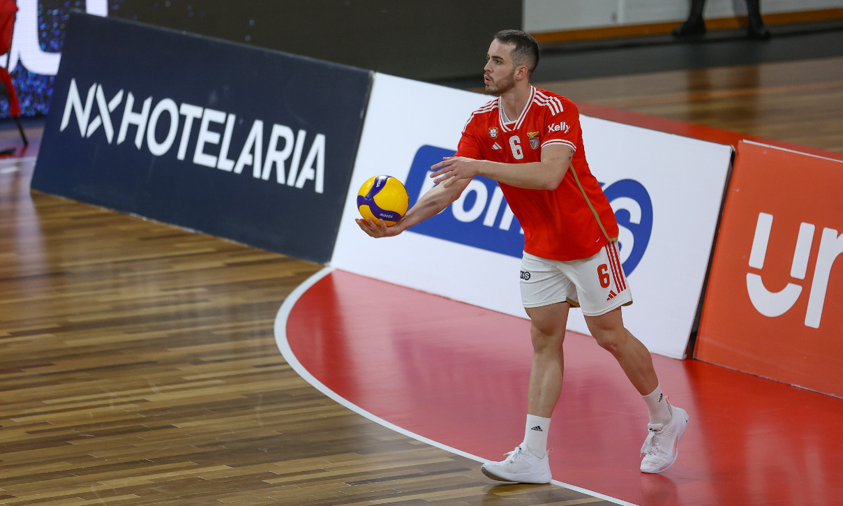 bernardo westermann