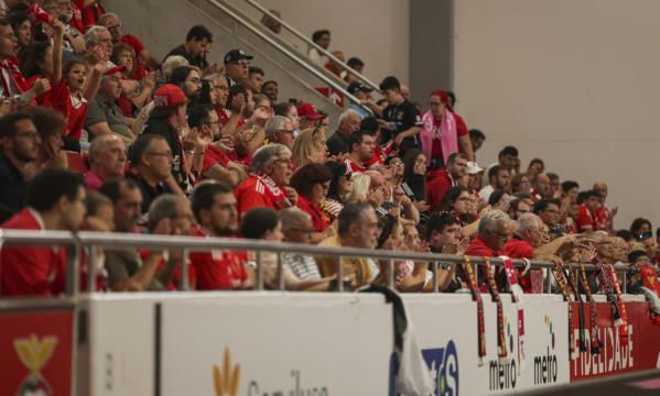 Adeptos do Benfica
