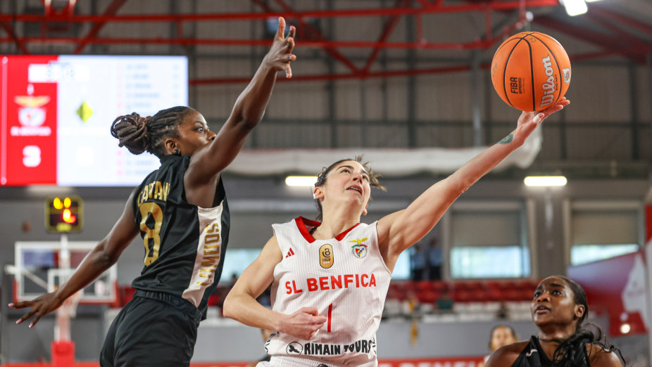 Basquetebol