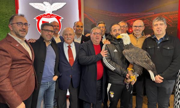 O vice-presidente do Benfica Domingos Almeida Lima esteve presente na cerim&#243;nia