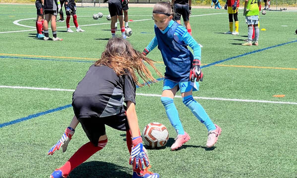 Futebol Feminino