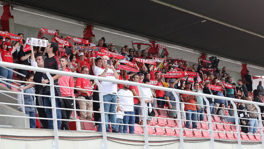 Adeptos do Benfica