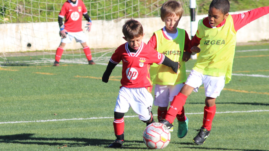 1ª jornada Liga Benfica – Zona Centro