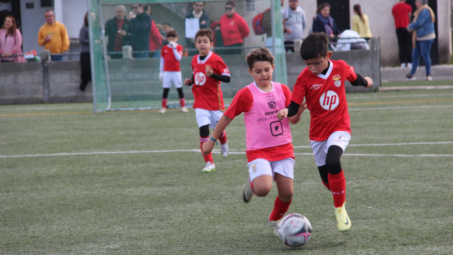 Liga Benfica - Zona Centro