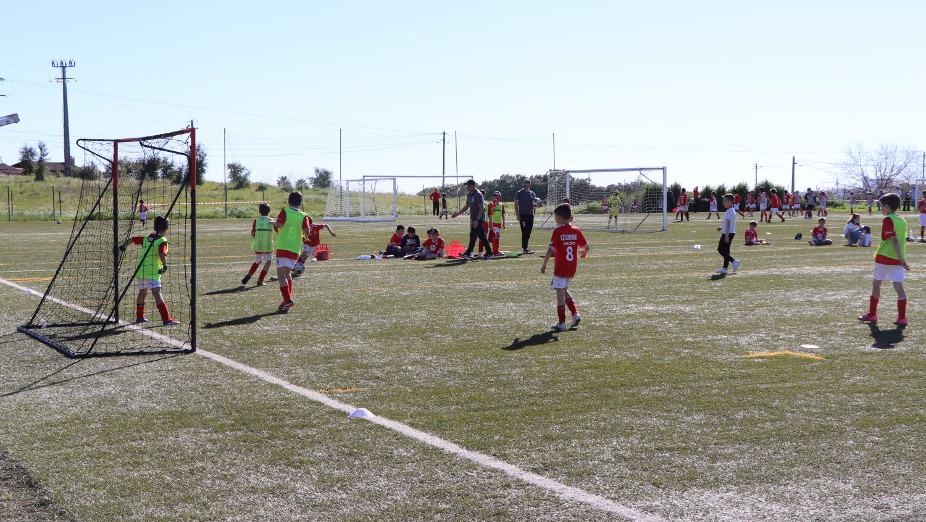 Liga Benfica