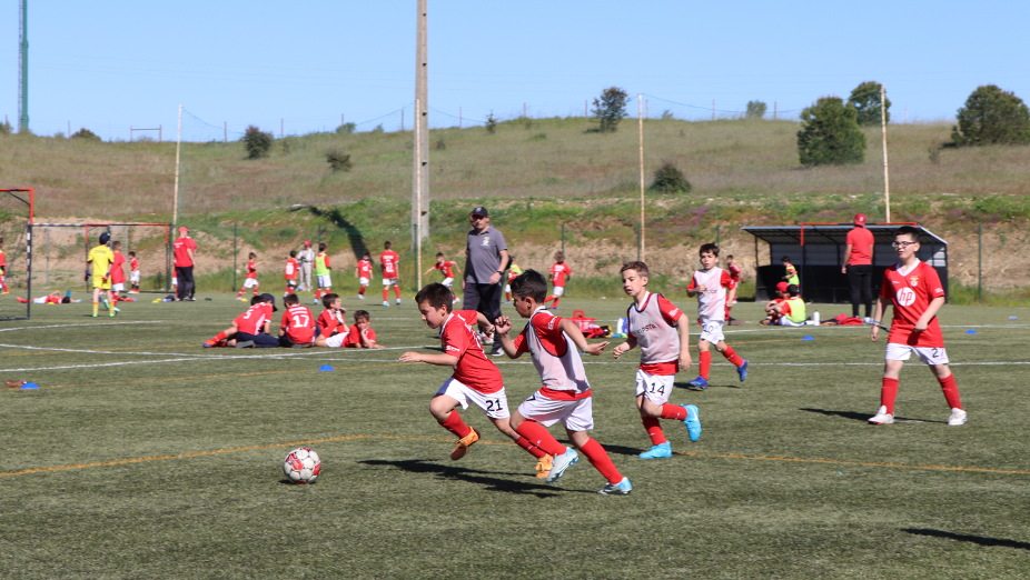 Liga Benfica
