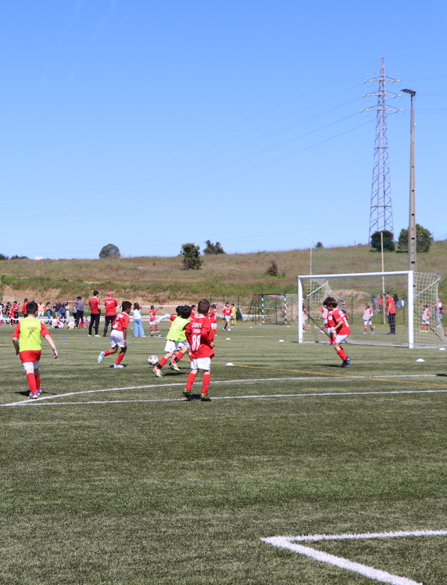 Um dia de grande festa